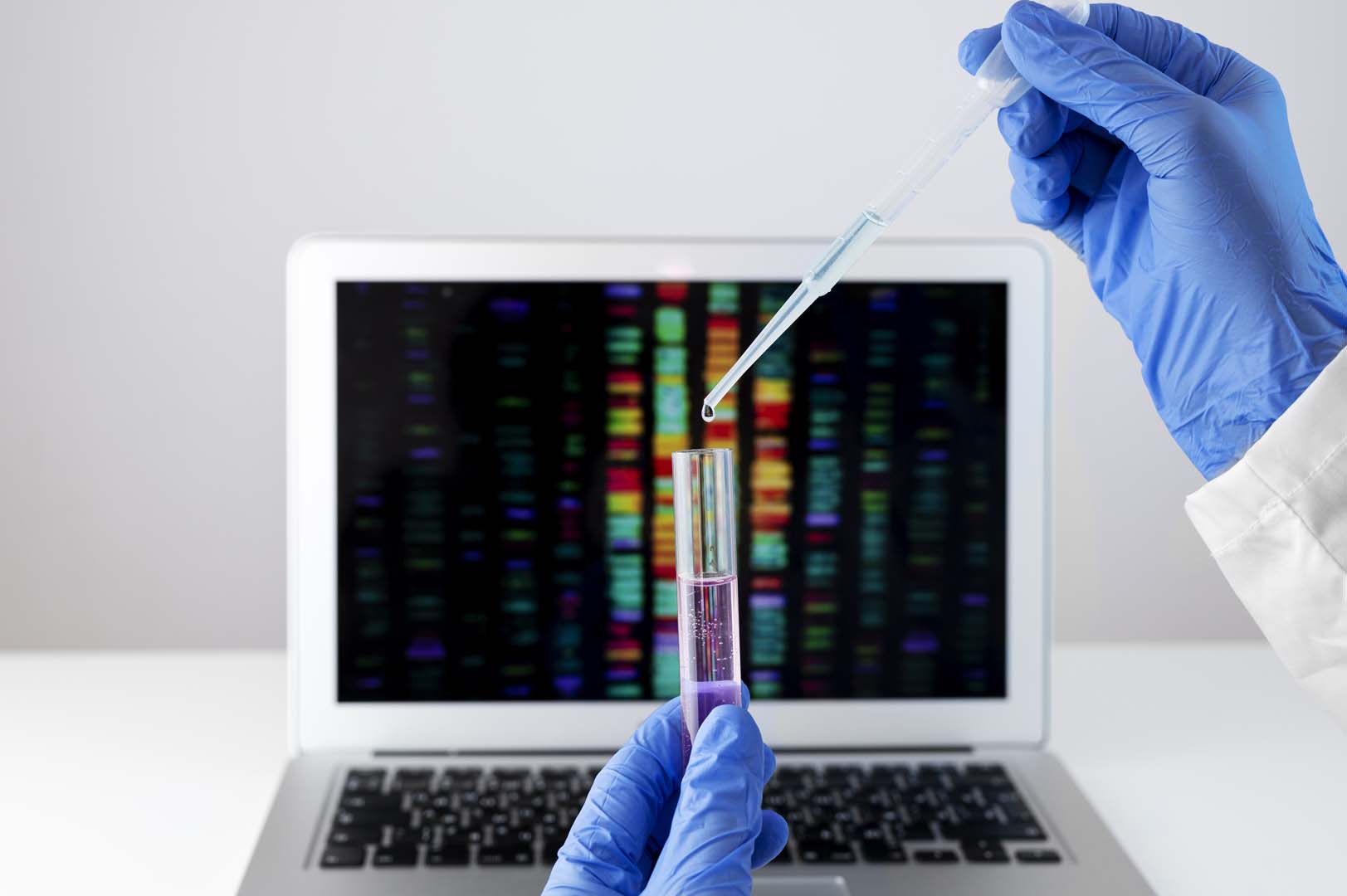 Dansite Testi
