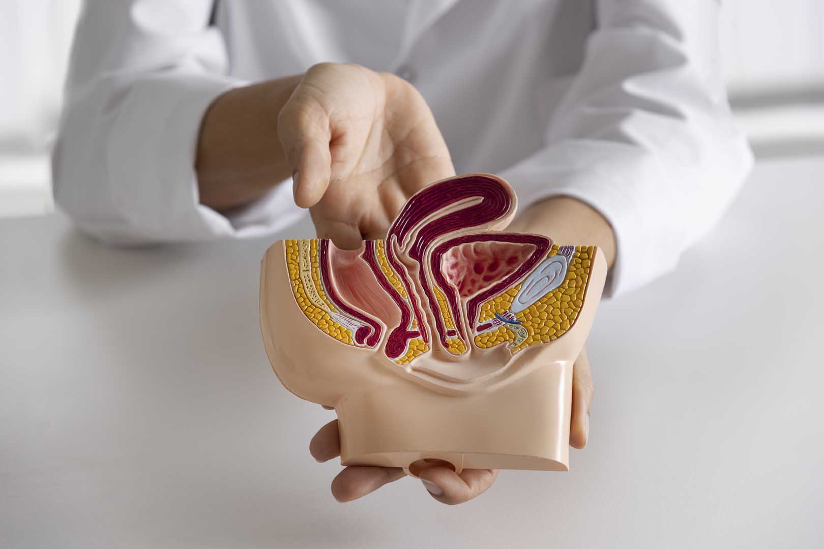 Epididimit (Meni Kanalı İltihabı)