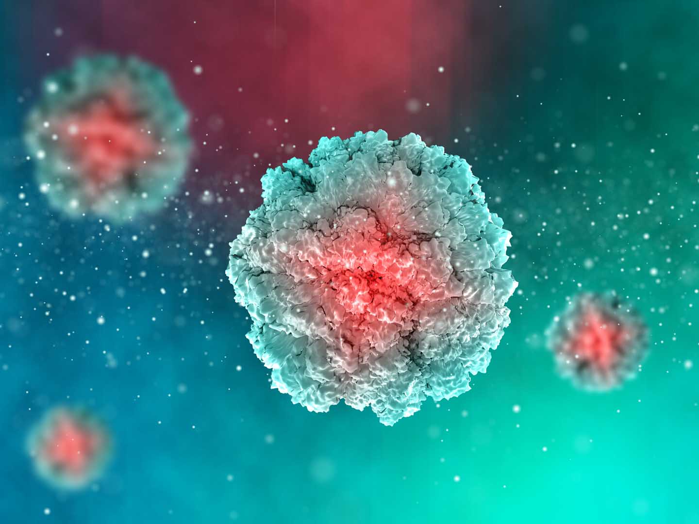 HPV (Human Papilloma Virüs)