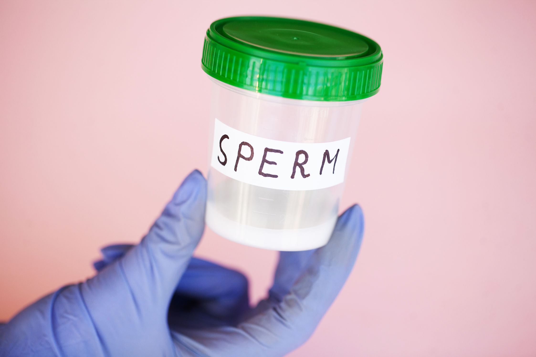 Sperm Testi