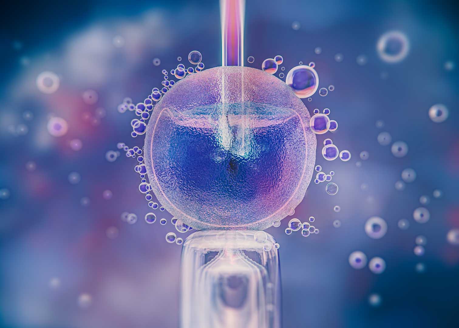 Tüp Bebek (IVF) Tedavisi